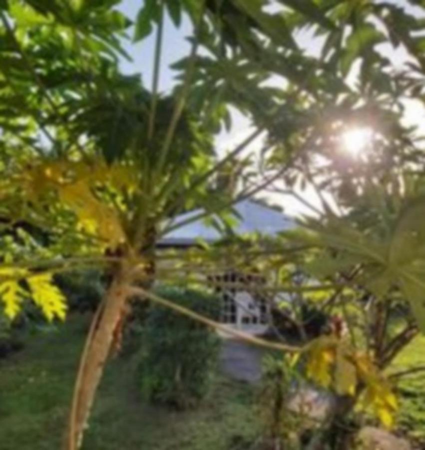 Chez Mimi Et Daniel Villa Bora Bora Kültér fotó